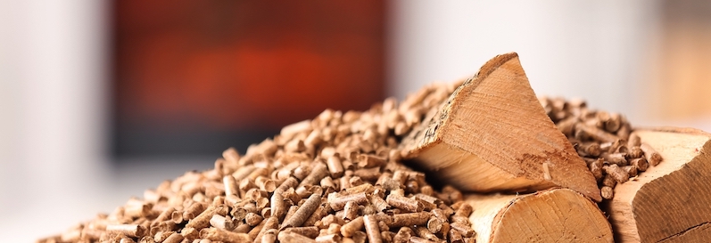 pellet-picture